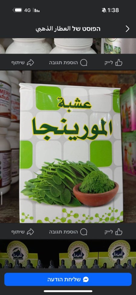 عشبة مورينغا