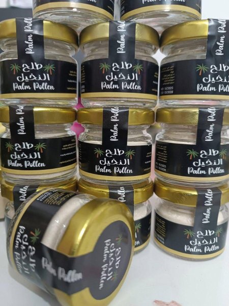 طلح النخيل