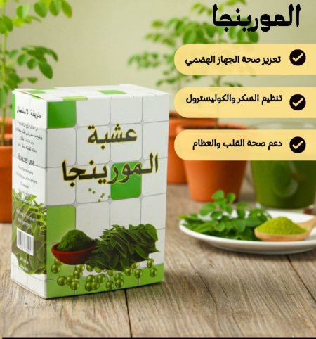 المورينغا