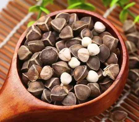 بذور المورينجا